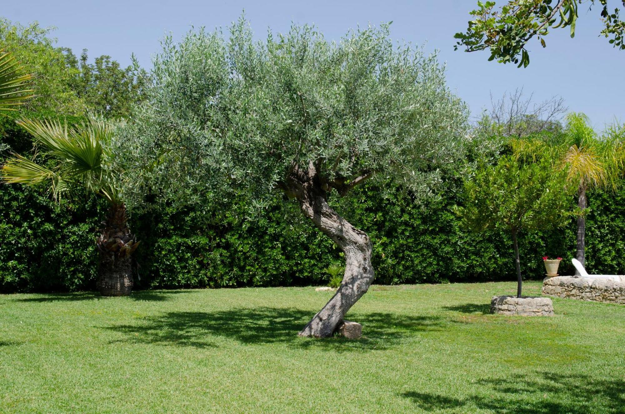 Antica Dimora Arancio Val Di Noto 10 Minuti Dal Mare Free Parking Apartment *
